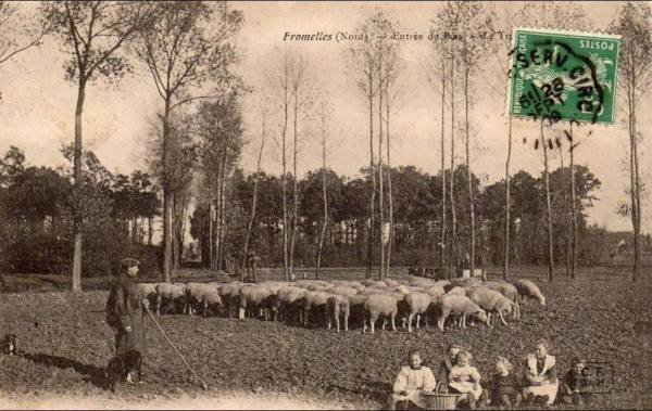 Postcard 21 from Fromelles Remembered.jpg